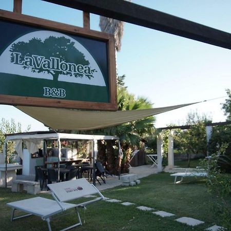 La Vallonea Casamassella Kültér fotó