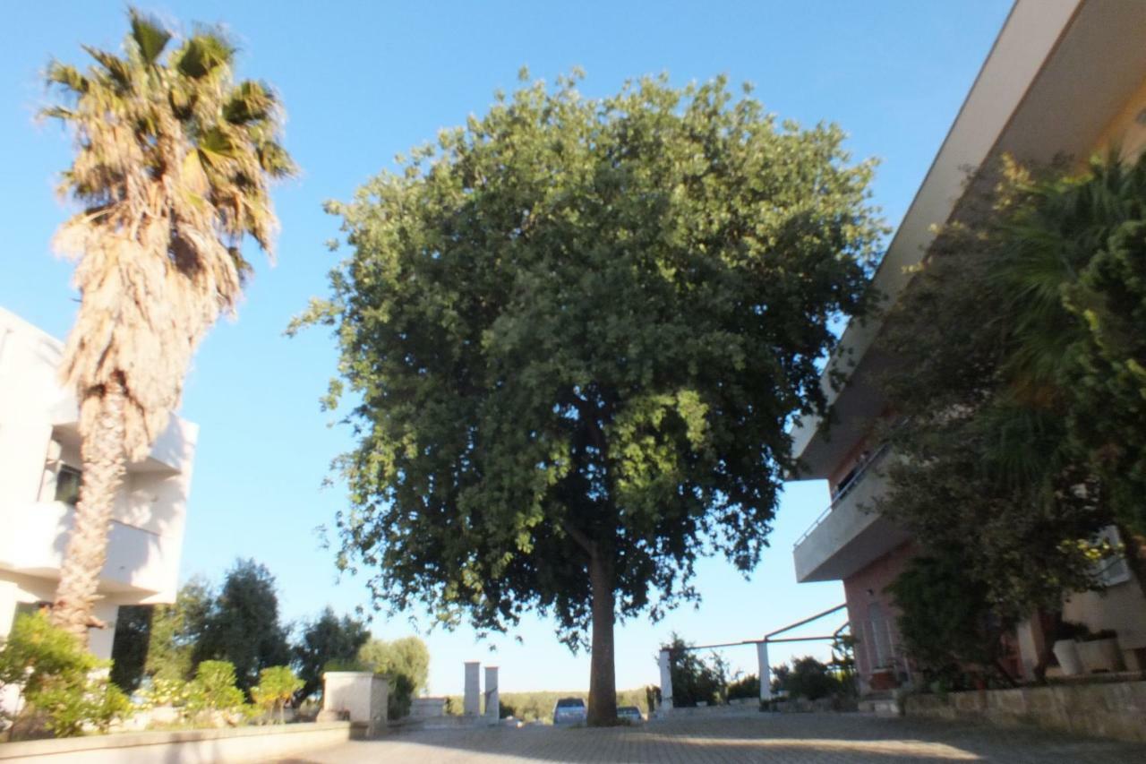 La Vallonea Casamassella Kültér fotó