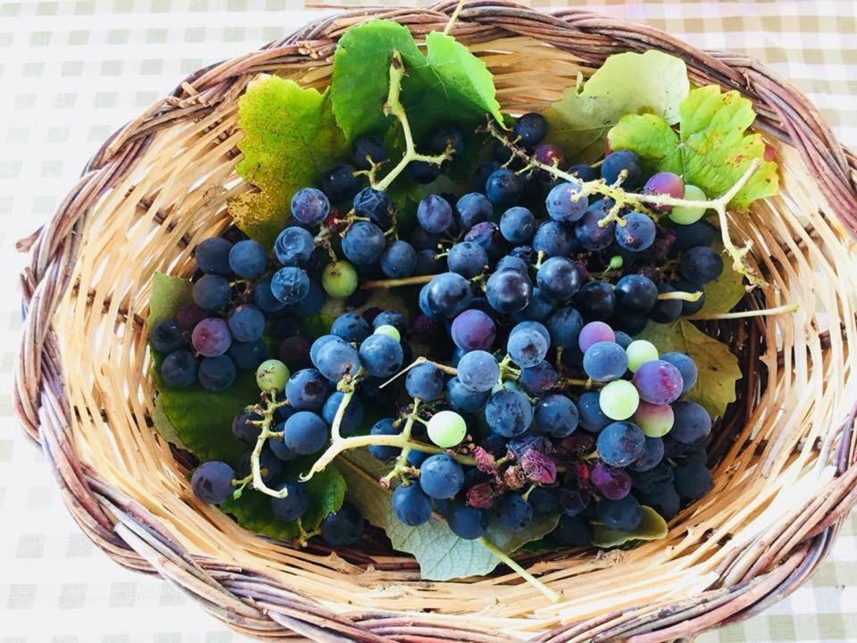 La Vallonea Casamassella Kültér fotó